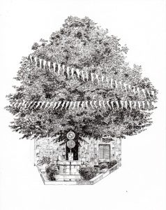 Place du Pilori, un îlot de verdure Emma BURR, crayon, 2022 Collection musée de Guérande 