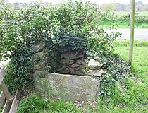 Agrandir l'image (fenêtre modale)