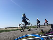 Journée douce dans les marais salants 2019 - Agrandir l'image (fenêtre modale)