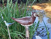 Agrandir l'image (fenêtre modale)