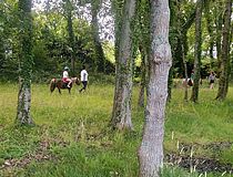 Agrandir l'image (fenêtre modale)