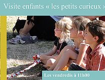 Agrandir l'image (fenêtre modale)