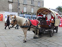 Agrandir l'image (fenêtre modale)